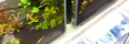 /album/%ec%88%98%ec%a1%b1%ea%b4%80%ea%b4%80%eb%a6%ac-%eb%ac%bc%ea%b3%a0%ea%b8%b0%ea%b4%80%eb%a6%ac/a20140212-151627-png/